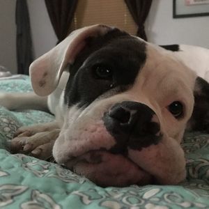 Meet your Posher, Yolanda